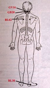 Insomnia Diagram 2