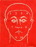 Front Facial Diagram