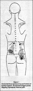 Lumbar Supports
