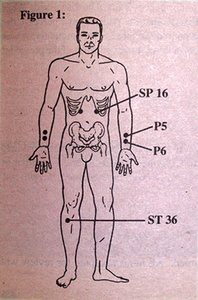 Acupuncture Point Diagram