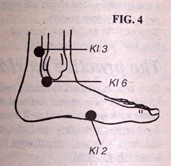 Diagram of Foot