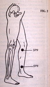 Side View of Legs