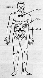 Full Body Diagram