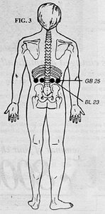 Rear View of Whole Body