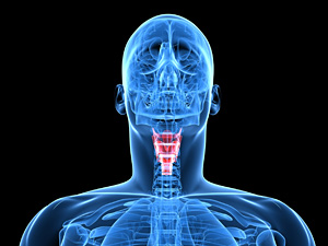 Thyroid