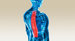 Axial Trac Thoracic Distraction: Enhanced FD for more segments&trade;