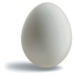 A chicken egg.