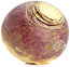 Turnip