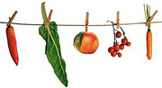 Vegetables clipped to a clothesline.