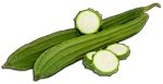 Luffa