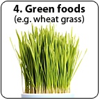 A clump of wheat grass.