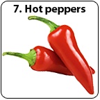 Two red hot peppers.