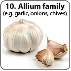 A bulb of garlic beside to cloves.