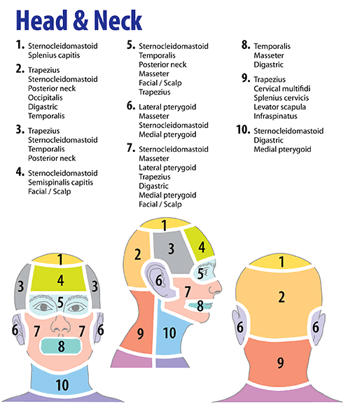 Headache Picture Chart